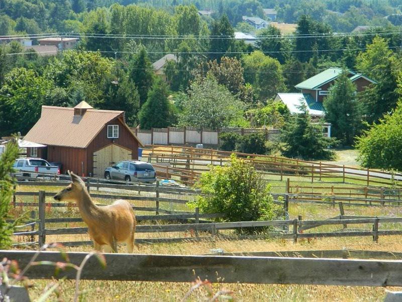 Sq Olympic-View-Cottage Sequim Buitenkant foto